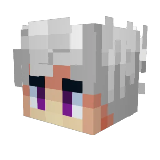 P1Bartus Minecraft avatar head, 3D render