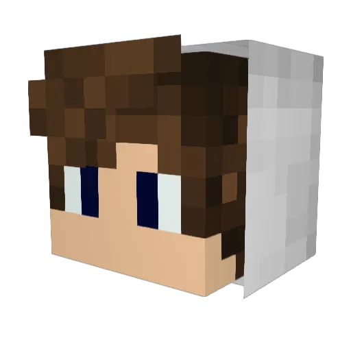 P1ET20 Minecraft avatar head, 3D render