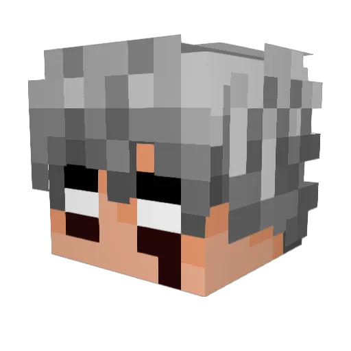 P1P1NLS Minecraft avatar head, 3D render