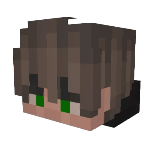 P1X3L14P1X0U Minecraft avatar head, 3D render
