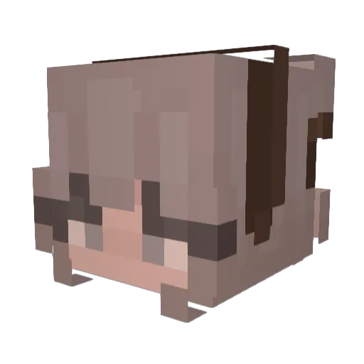 P1kledhotdogs Minecraft avatar head, 3D render
