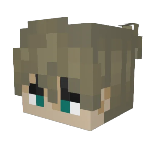 P1kseloza Minecraft avatar head, 3D render
