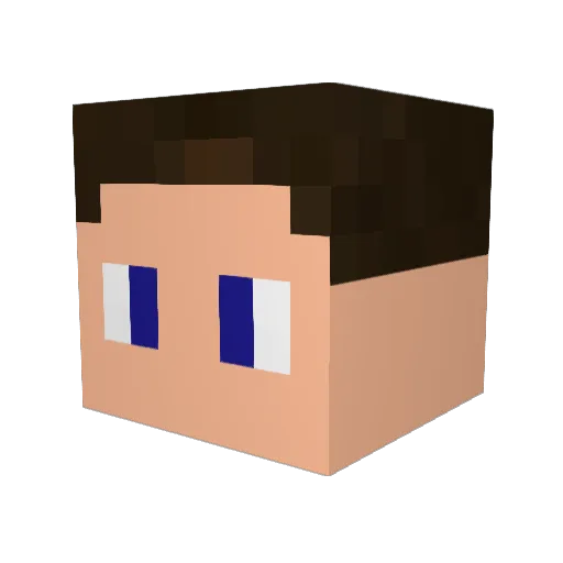 P1nGGuin Minecraft avatar head, 3D render