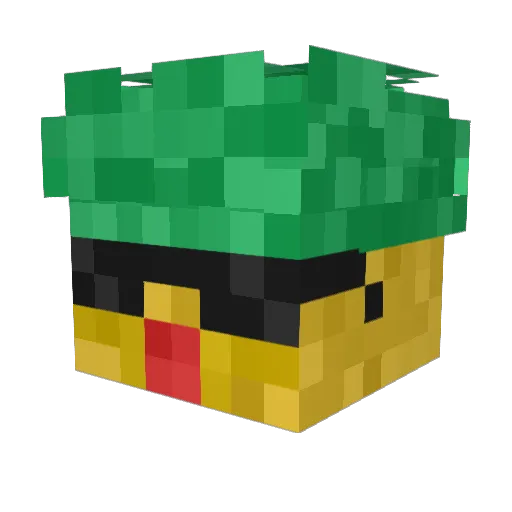 P1neappleBand1t Minecraft avatar head, 3D render
