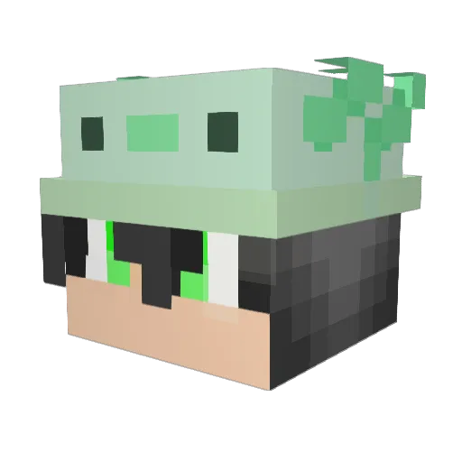 P1nhoFX_ Minecraft avatar head, 3D render