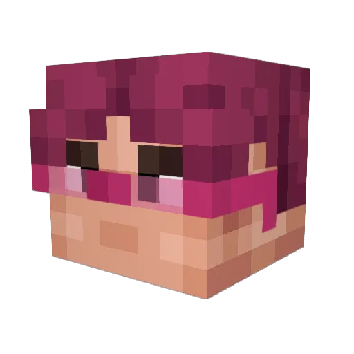 P1nkL0ok Minecraft avatar head, 3D render