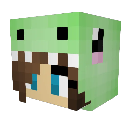 P1nkflipper Minecraft avatar head, 3D render