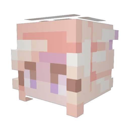 P1qun Minecraft avatar head, 3D render