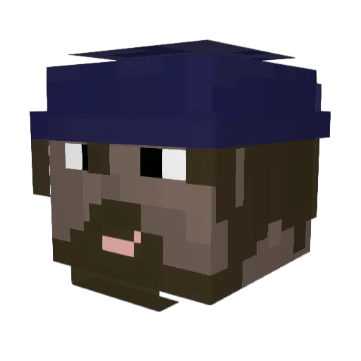 P1tge Minecraft avatar head, 3D render