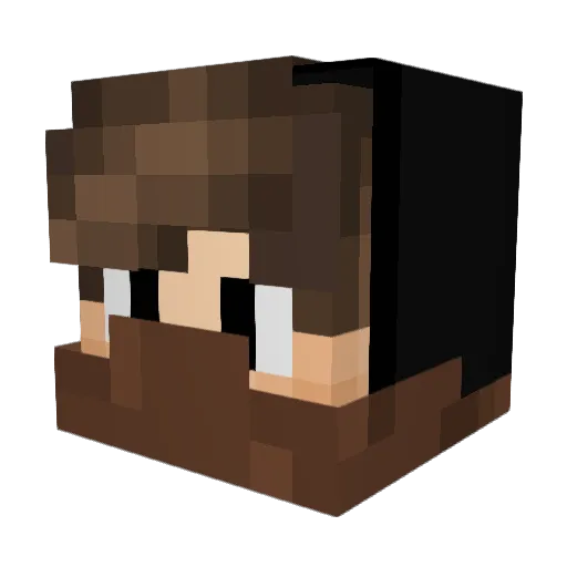 P2LP Minecraft avatar head, 3D render