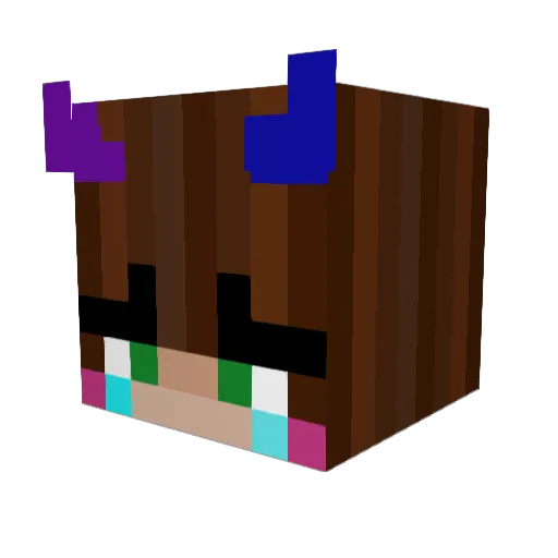 P2W_Felix Minecraft avatar head, 3D render