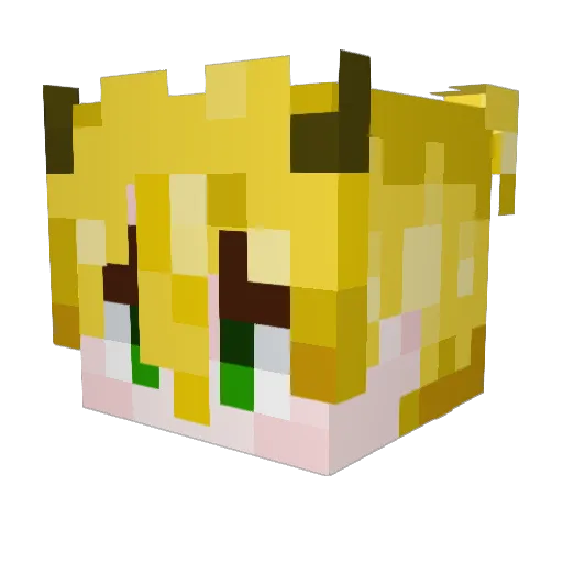 P2ku Minecraft avatar head, 3D render
