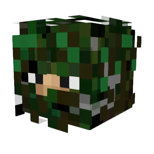 P3tt Minecraft avatar head, 3D render