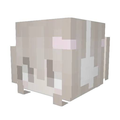 P41GE Minecraft avatar head, 3D render