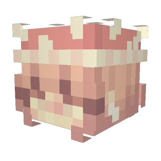 P444TE Minecraft avatar head, 3D render