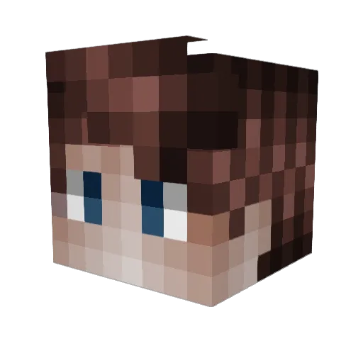 P4F4 Minecraft avatar head, 3D render