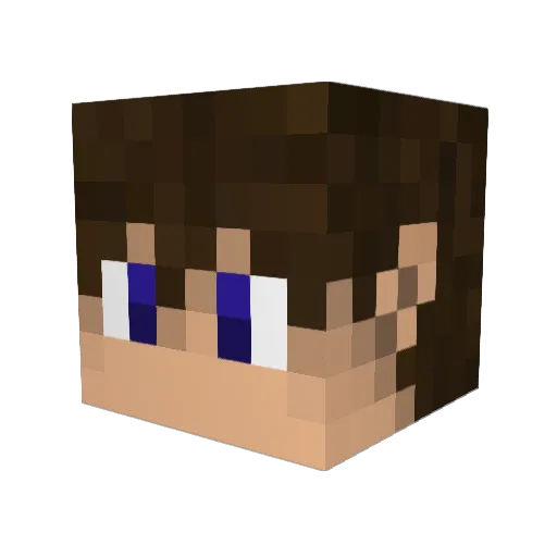 P4LAD1N5 Minecraft avatar head, 3D render
