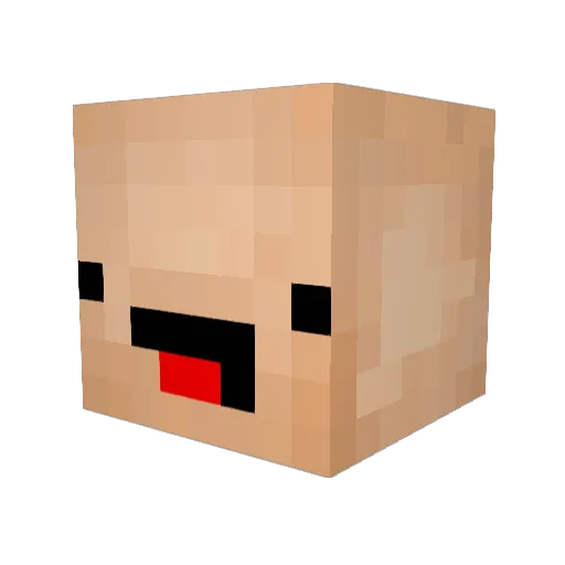 P4LYY Minecraft avatar head, 3D render