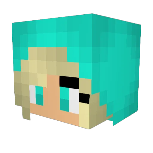 P4N748E42 Minecraft avatar head, 3D render