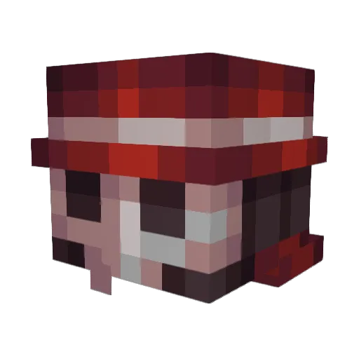 P4NC4k3S15 Minecraft avatar head, 3D render