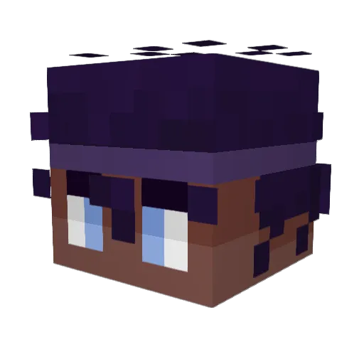 P4NK3RR Minecraft avatar head, 3D render