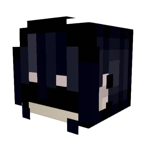 P4iNN Minecraft avatar head, 3D render