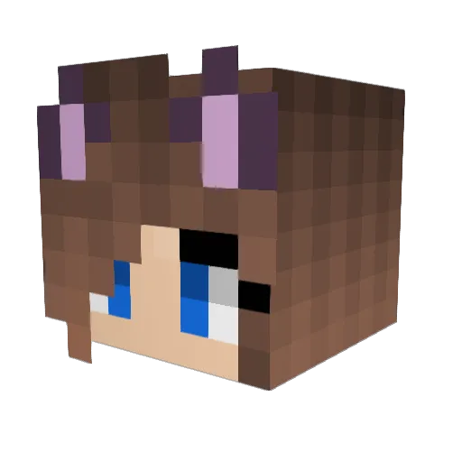 P4inki11er Minecraft avatar head, 3D render