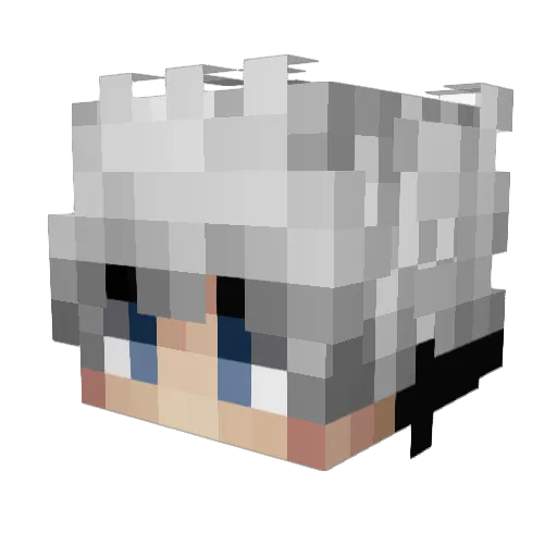 P4n1Ccs Minecraft avatar head, 3D render