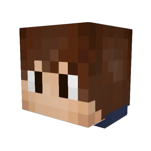 P4n2m4nx02nd Minecraft avatar head, 3D render