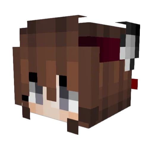 P4nD0r_ Minecraft avatar head, 3D render