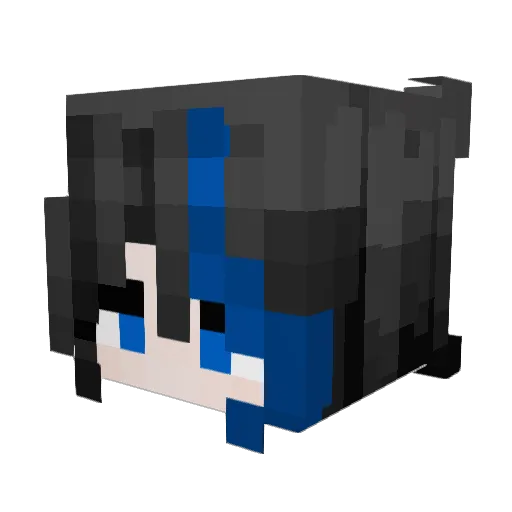 P4nnca Minecraft avatar head, 3D render