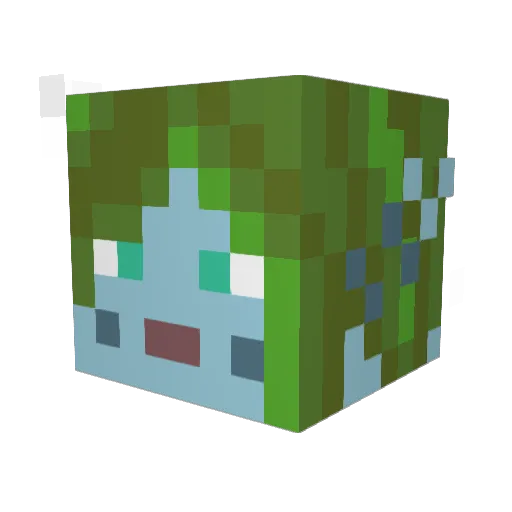P4r2iva1 Minecraft avatar head, 3D render