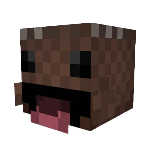 P4tukis Minecraft avatar head, 3D render