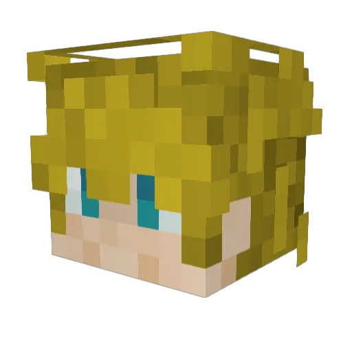 P4uL_RO Minecraft avatar head, 3D render