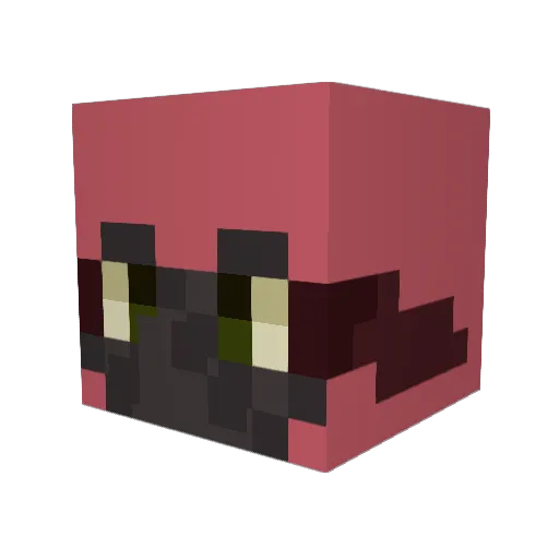 P4ul___ Minecraft avatar head, 3D render
