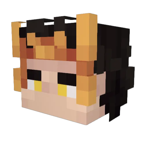 P4x_x Minecraft avatar head, 3D render