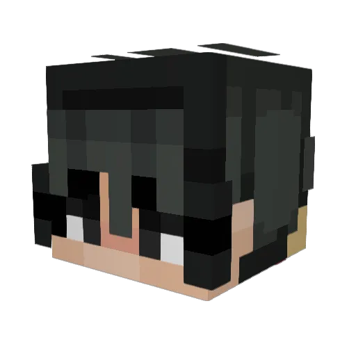 P8S9 Minecraft avatar head, 3D render