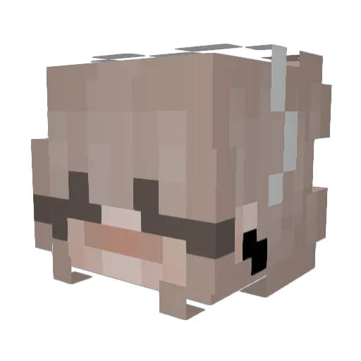 P9nties Minecraft avatar head, 3D render