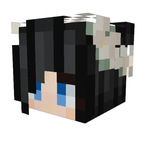 PACCBET Minecraft avatar head, 3D render