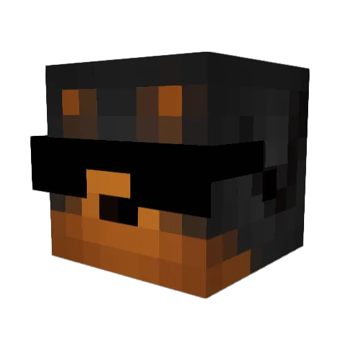 PACHERA Minecraft avatar head, 3D render