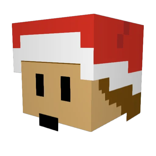 PAD3N Minecraft avatar head, 3D render