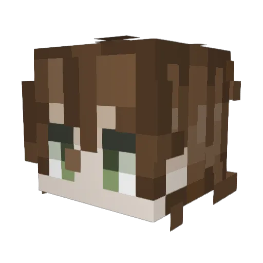PADAROGKA Minecraft avatar head, 3D render
