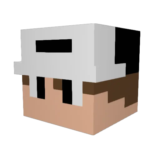 PADDL__ Minecraft avatar head, 3D render