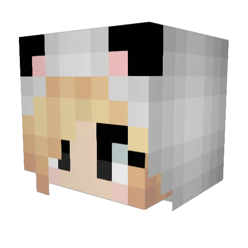 PAFFLES_ Minecraft avatar head, 3D render