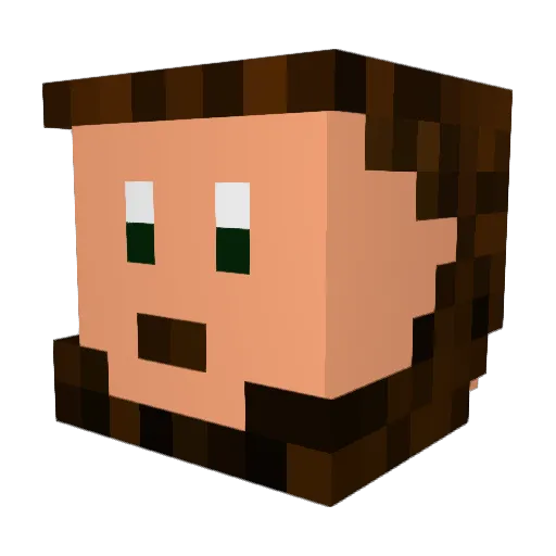 PAHSA Minecraft avatar head, 3D render