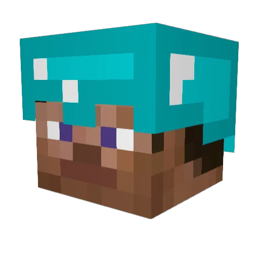 PAIDPRIVATEPRO Minecraft avatar head, 3D render