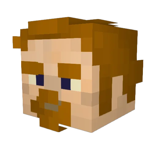 PAINSPONGE9 Minecraft avatar head, 3D render