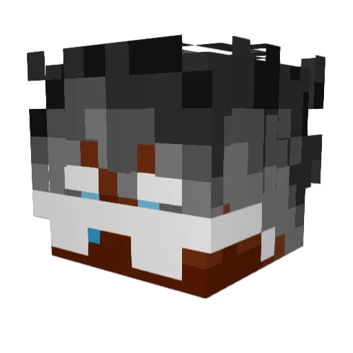 PAKEER Minecraft avatar head, 3D render
