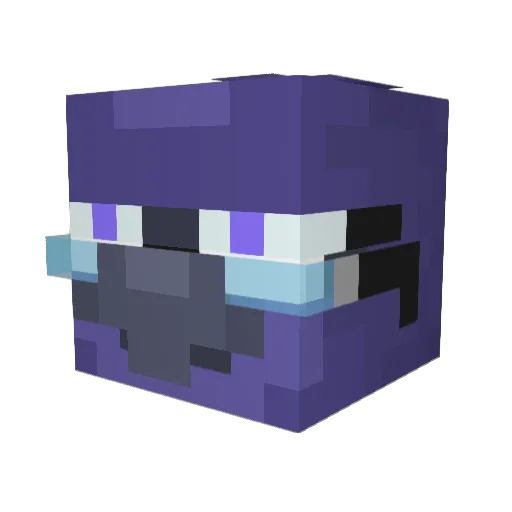 PAKI_21 Minecraft avatar head, 3D render