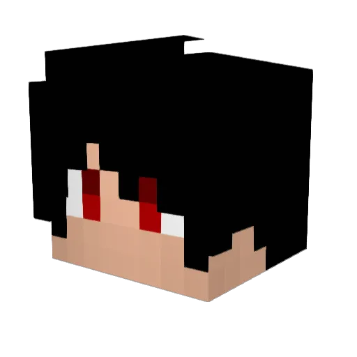 PALA06 Minecraft avatar head, 3D render